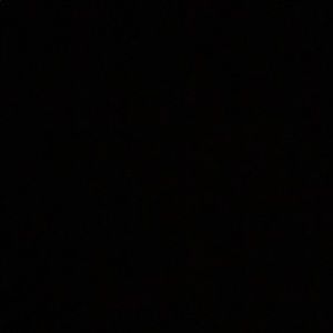 Meet your Posher, Ralph